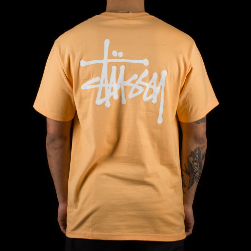 Stussy Basic Stussy T-Shirt