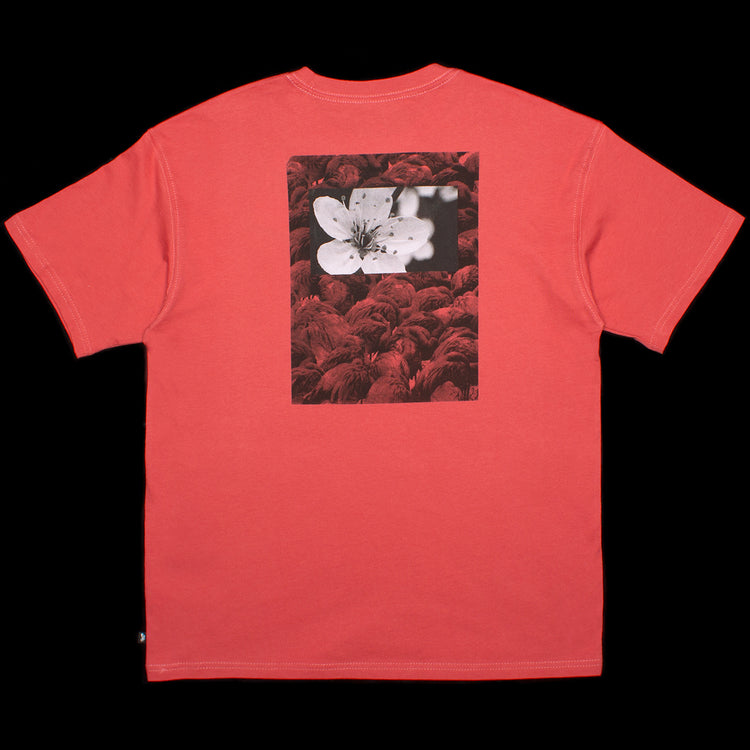 Nike SB Natural Borders T-Shirt Style # DX9462-655 Color : Adobe