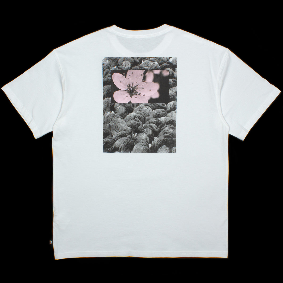 Nike SB Natural Borders T-Shirt Style # DX9462-100 Color : White