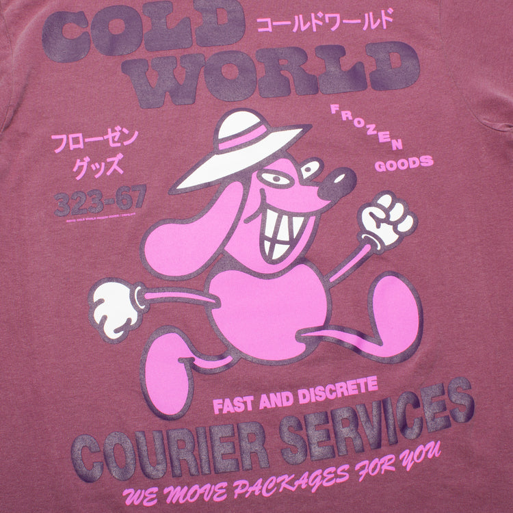 Cold World Frozen Goods Courier Service T-Shirt