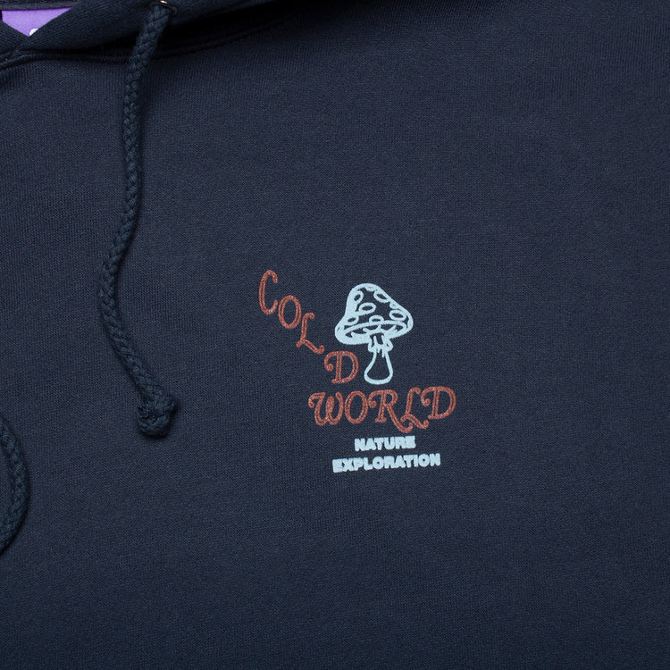 Cold World Frozen Goods Frog World Pullover Hoodie
