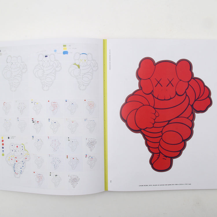 KAWS : What Party (Pink)