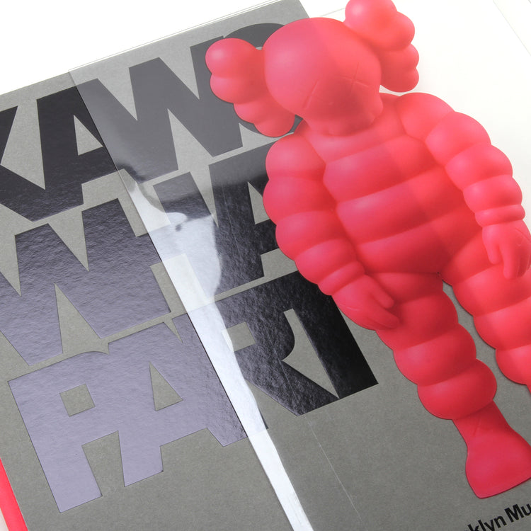 KAWS : What Party (Pink)